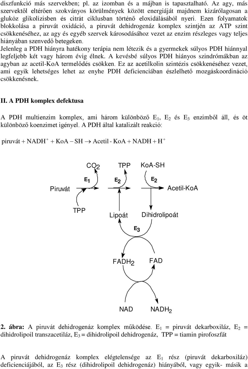 Ezen folyamatok blokkolása a piruvát oxidáció, a piruvát dehidrogenáz komplex szintjén az ATP szint csökkenéséhez, az agy és egyéb szervek károsodásához vezet az enzim részleges vagy teljes hiányában