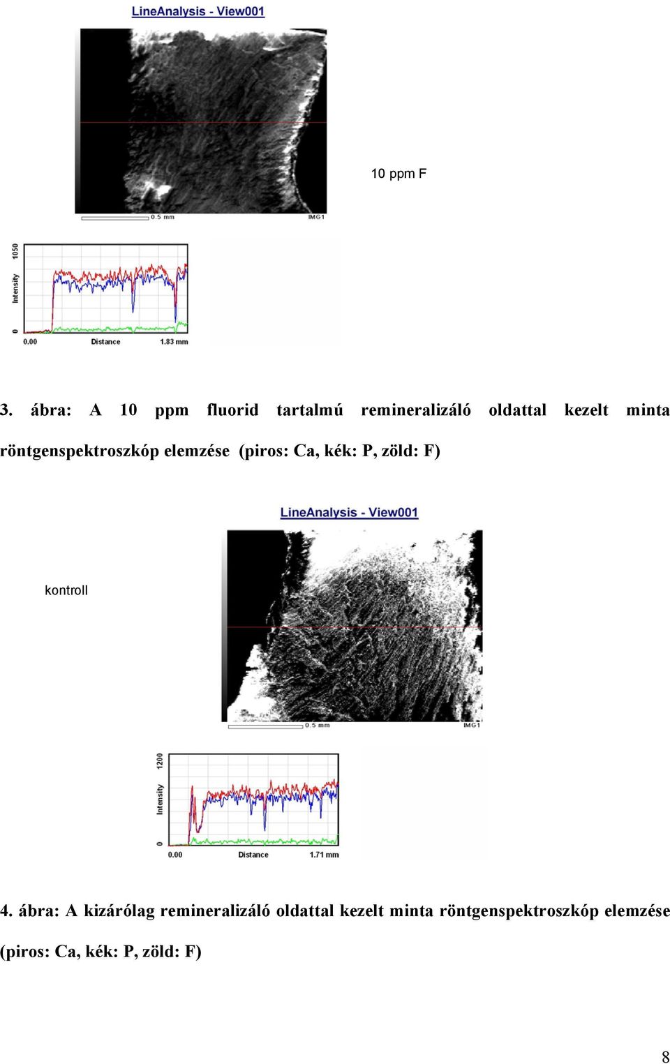 minta röntgenspektroszkóp elemzése (piros: Ca, kék: P, zöld: F)
