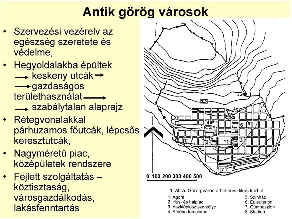 párhuzamos főutcák, lépcsős keresztutcák, Nagyméretű piac, középületek rendszere