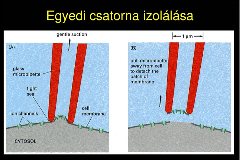 izolálása