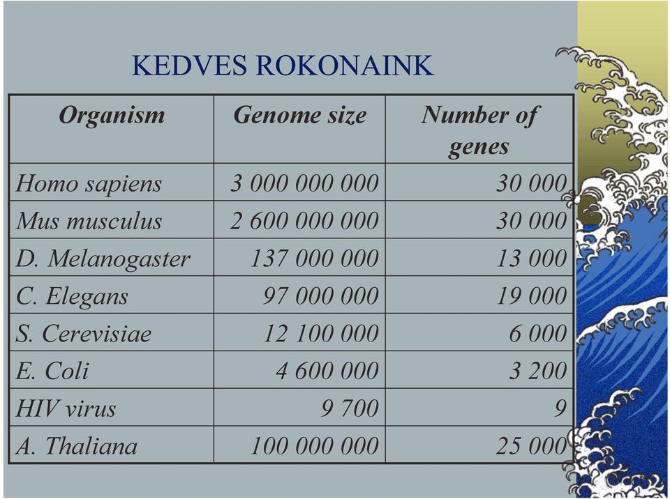 Thaliana Genome size 3 000 000 000 2 600 000 000 137 000 000 97 000