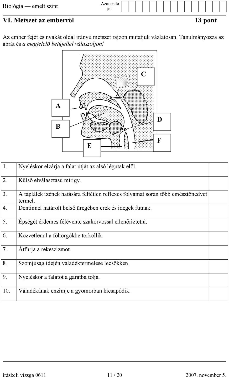 A táplálék ízének hatására feltétlen reflexes folyamat során több emésztőnedvet termel. 4. Dentinnel határolt belső üregében erek és idegek futnak. 5.