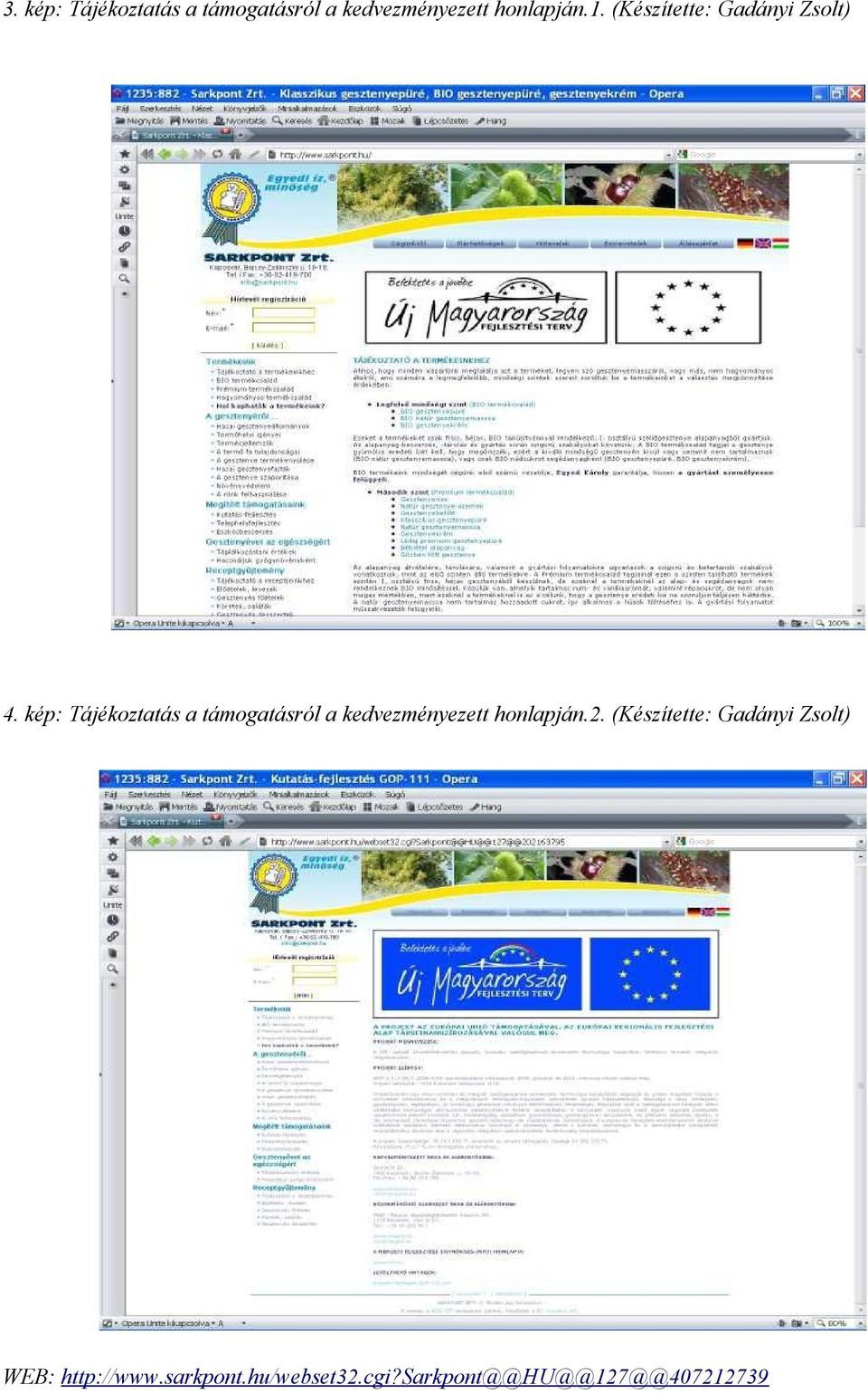 kép: Tájékoztatás a támogatásról a kedvezményezett honlapján.2.