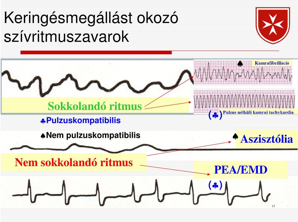 Pulzuskompatibilis ( ) Nem