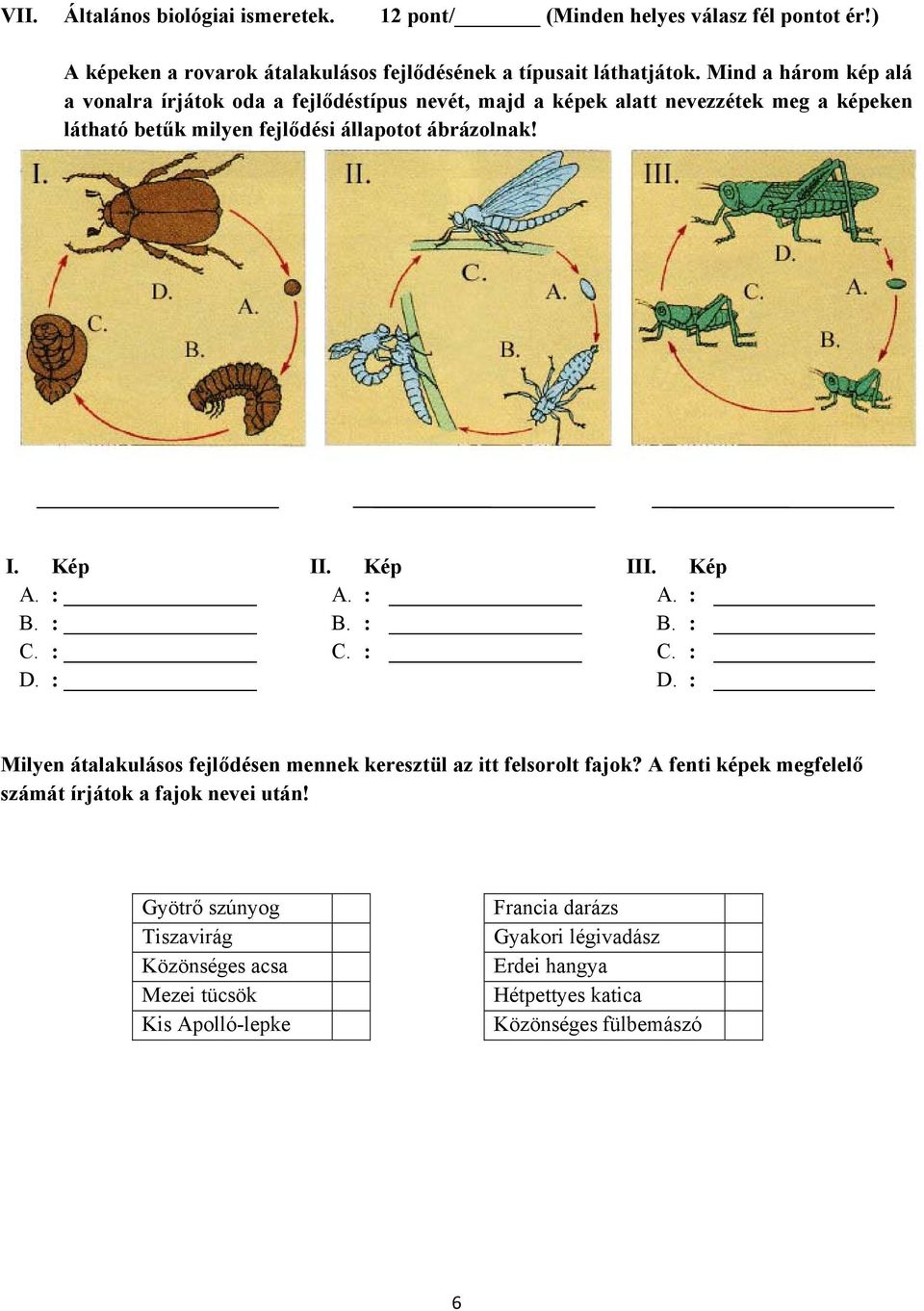 : B. : C. : D. : II. Kép A. : B. : C. : III. Kép A. : B. : C. : D. : Milyen átalakulásos fejlődésen mennek keresztül az itt felsorolt fajok?