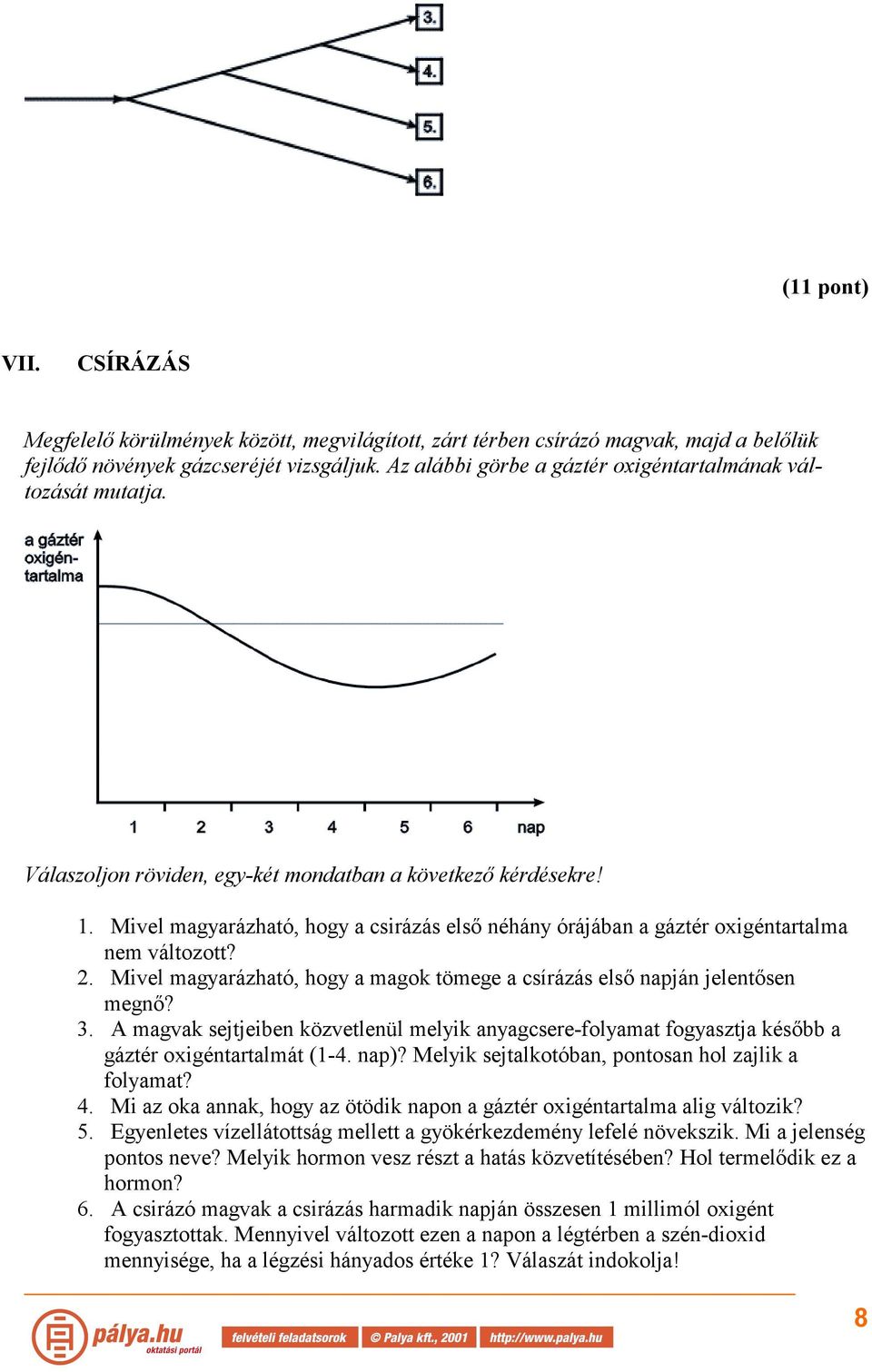 Mivel magyarázható, hogy a csirázás első néhány órájában a gáztér oxigéntartalma nem változott? 2. Mivel magyarázható, hogy a magok tömege a csírázás első napján jelentősen megnő? 3.