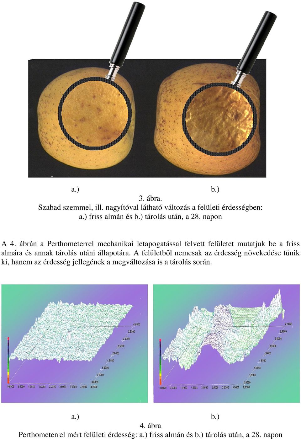 ábrán a Perthometerrel mechanikai letapogatással felvett felületet mutatjuk be a friss almára és annak tárolás utáni
