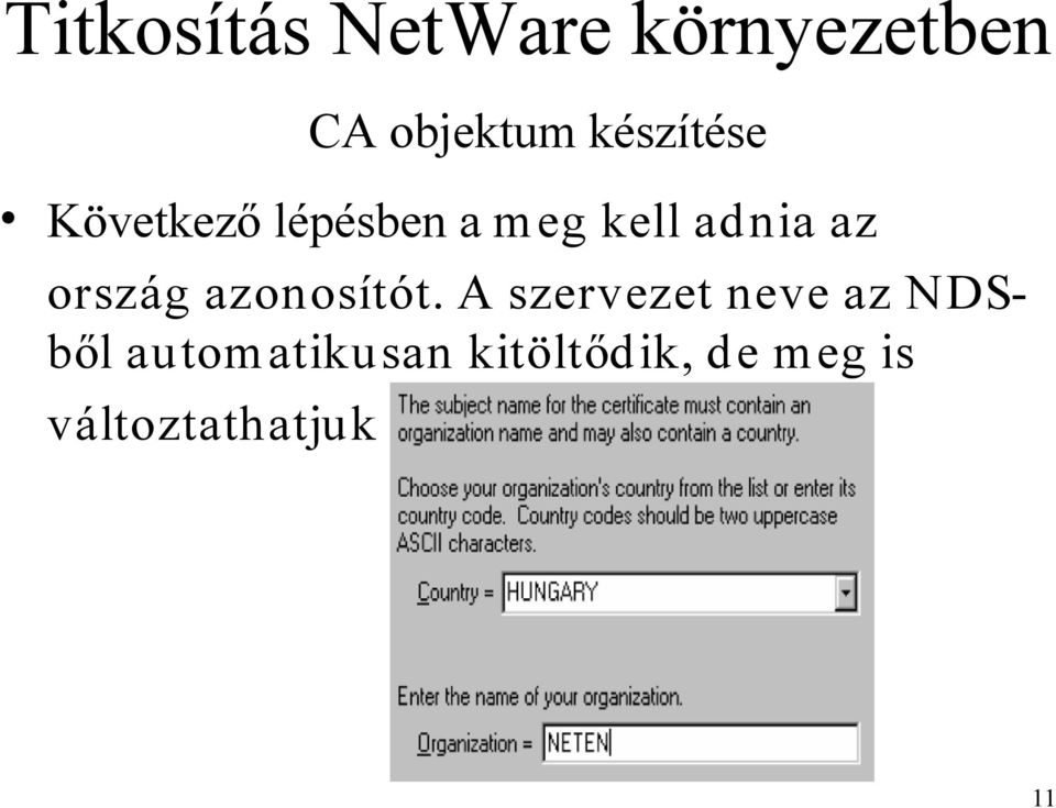 A szervezet neve az N DSből