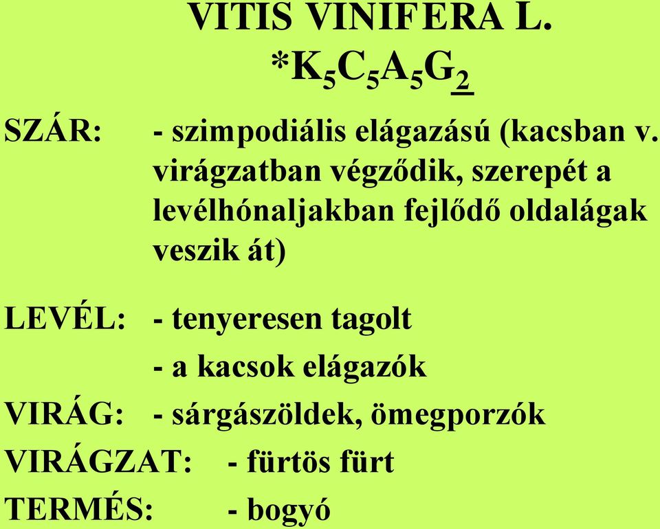 virágzatban végződik, szerepét a levélhónaljakban fejlődő oldalágak