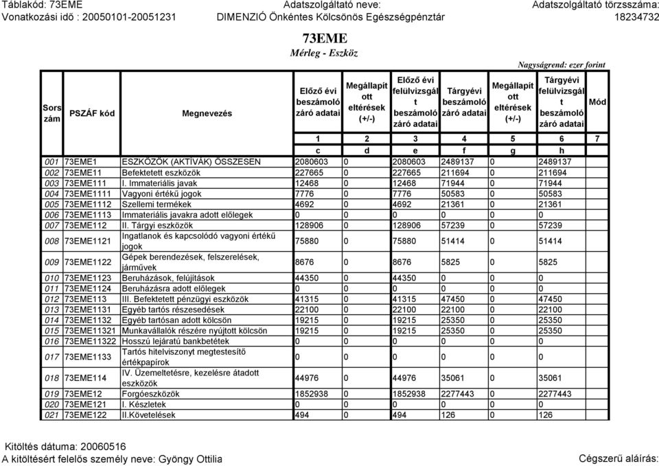 Immateriális javak 12468 0 12468 71944 0 71944 004 73EME1111 Vagyoni értékű jogok 7776 0 7776 50583 0 50583 005 73EME1112 Szellemi termékek 4692 0 4692 21361 0 21361 006 73EME1113 Immateriális