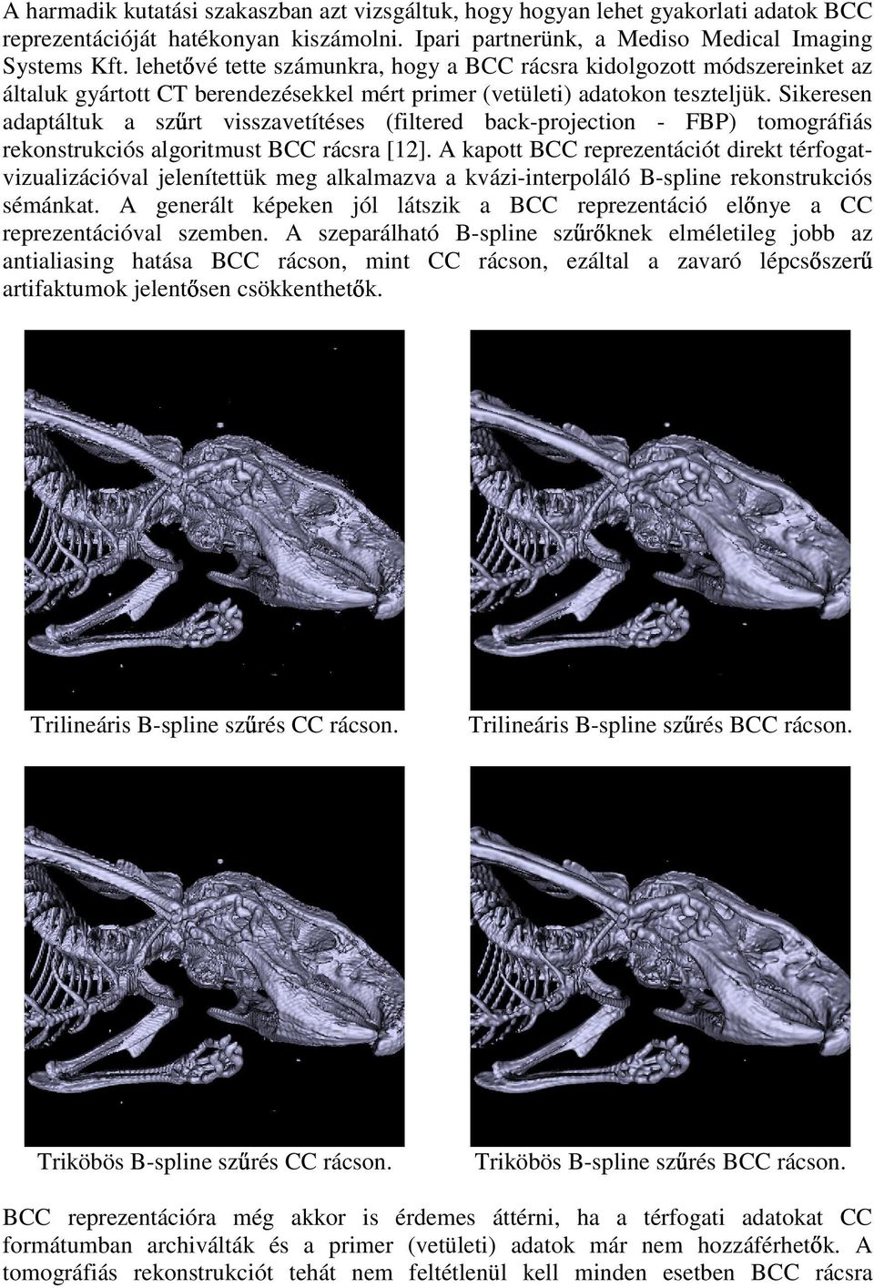 Sikeresen adaptáltuk a sz rt visszavetítéses (filtered back-projection - FBP) tomográfiás rekonstrukciós algoritmust BCC rácsra [12].