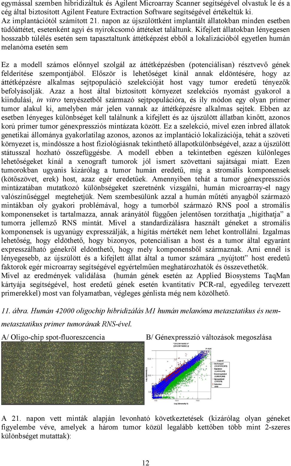 Kifejlett állatokban lényegesen hosszabb túlélés esetén sem tapasztaltunk áttétképzést ebből a lokalizációból egyetlen humán melanóma esetén sem Ez a modell számos előnnyel szolgál az áttétképzésben