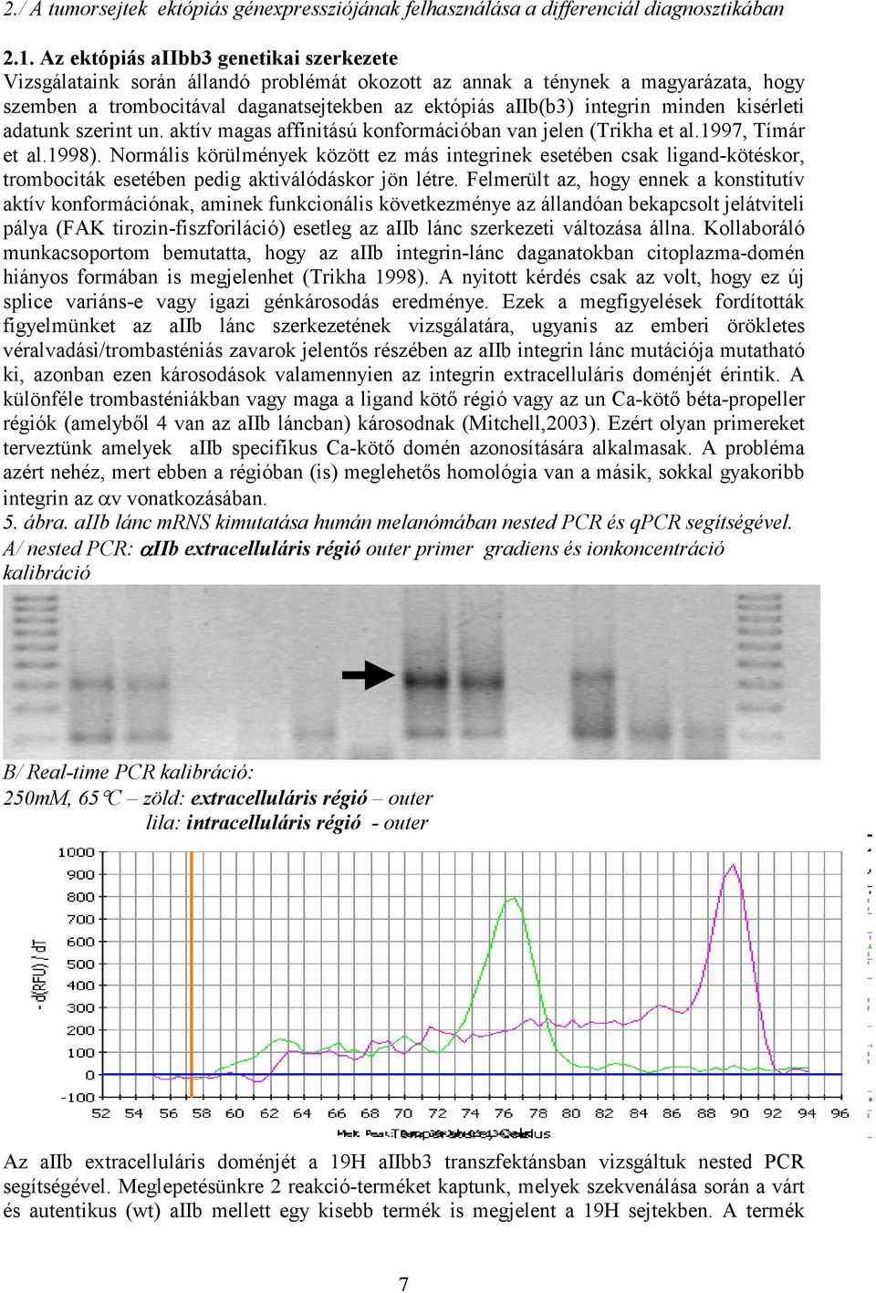 minden kisérleti adatunk szerint un. aktív magas affinitású konformációban van jelen (Trikha et al.1997, Tímár et al.1998).