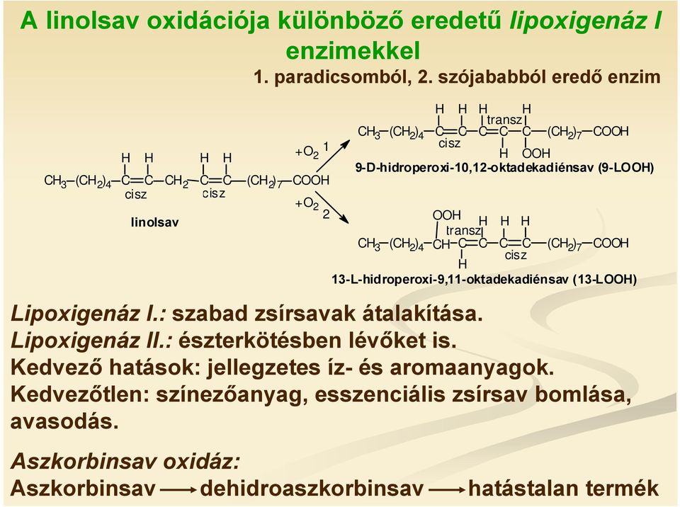 9-D-hidroperoxi-10,12-oktadekadiénsav (9-LH) C C (CH 2 ) 7 CH cisz + 2 2 H H H H transz CH 3 ( C H 2 ) 4 CH C C C C (CH 2 ) 7 CH cisz H