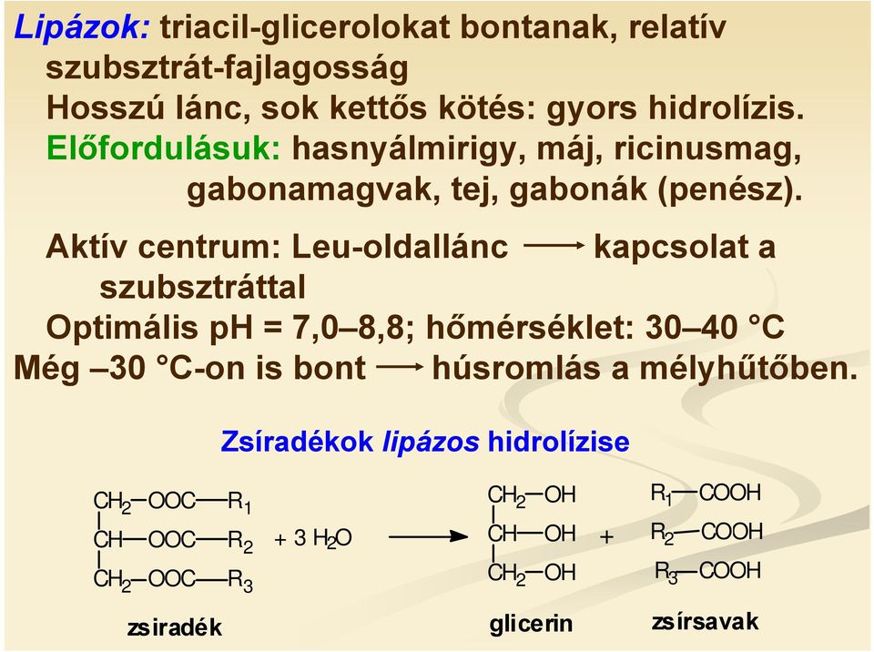 Aktív centrum: Leu-oldallánc kapcsolat a szubsztráttal ptimális ph = 7,0 8,8; hőmérséklet: 30 40 C Még 30 C-on is bont