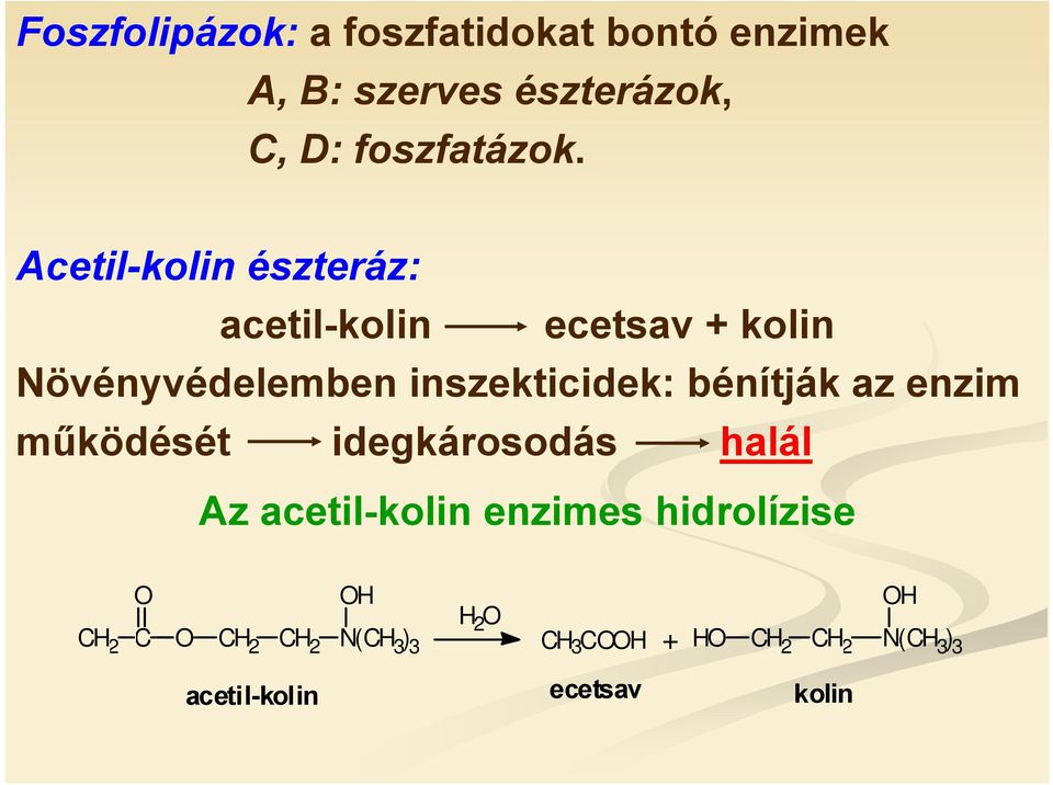 bénítják az enzim működését idegkárosodás halál Az acetil-kolin enzimes hidrolízise C H