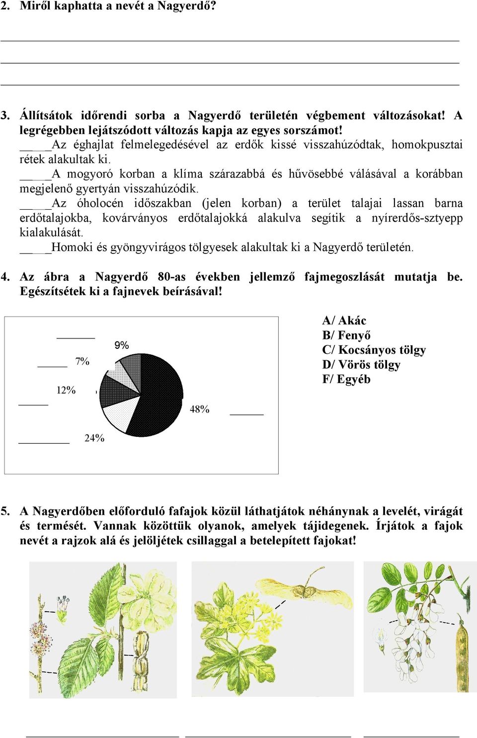 Az óholocén időszakban (jelen korban) a terület talajai lassan barna erdőtalajokba, kovárványos erdőtalajokká alakulva segítik a nyírerdős-sztyepp kialakulását.