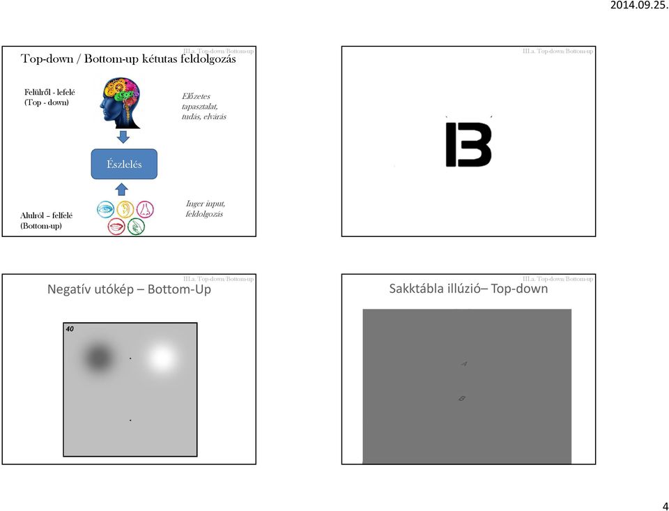 Felülről - lefelé (Top - down) Előzetes tapasztalat, tudás, elvárás Észlelés