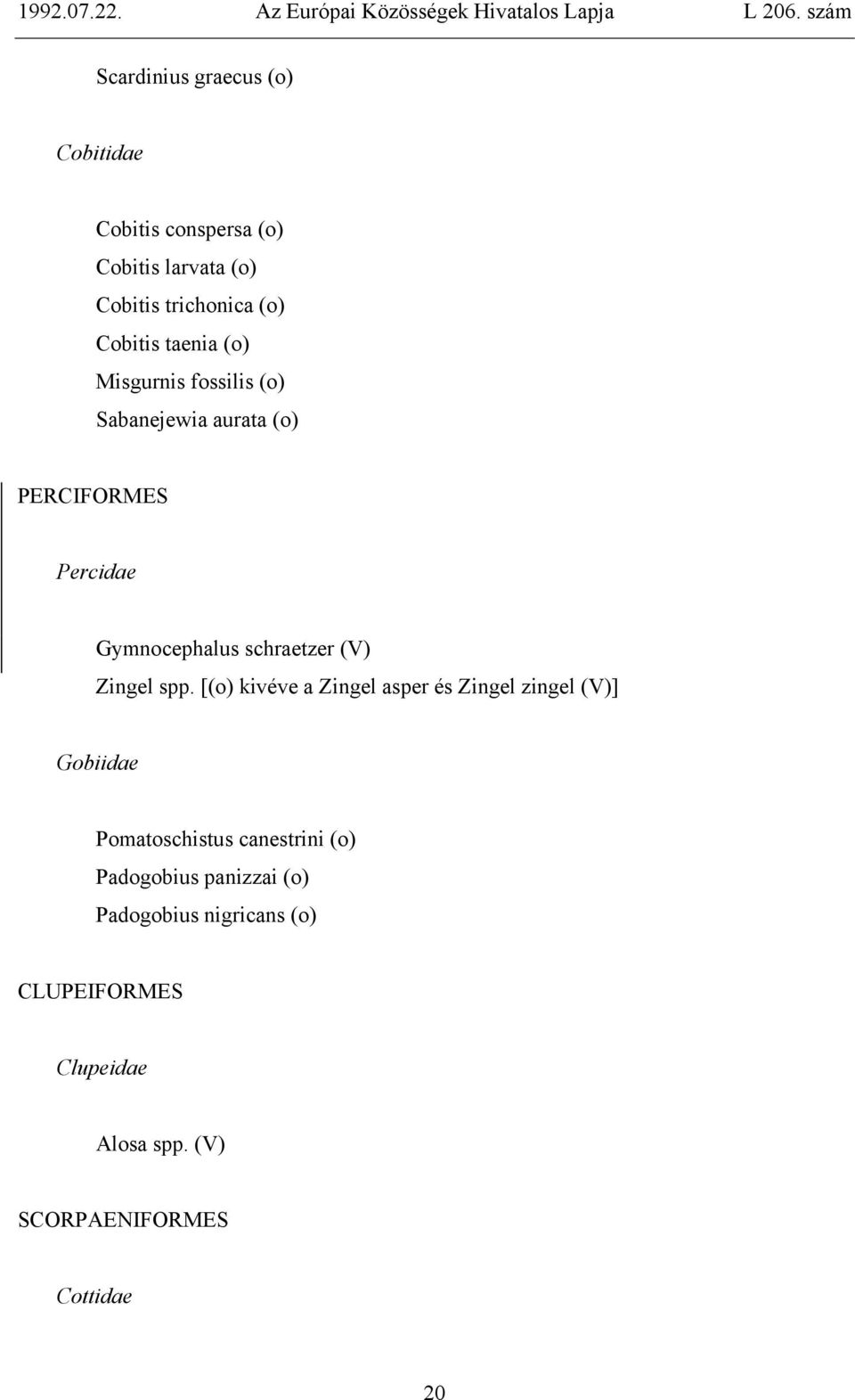 Zingel spp.