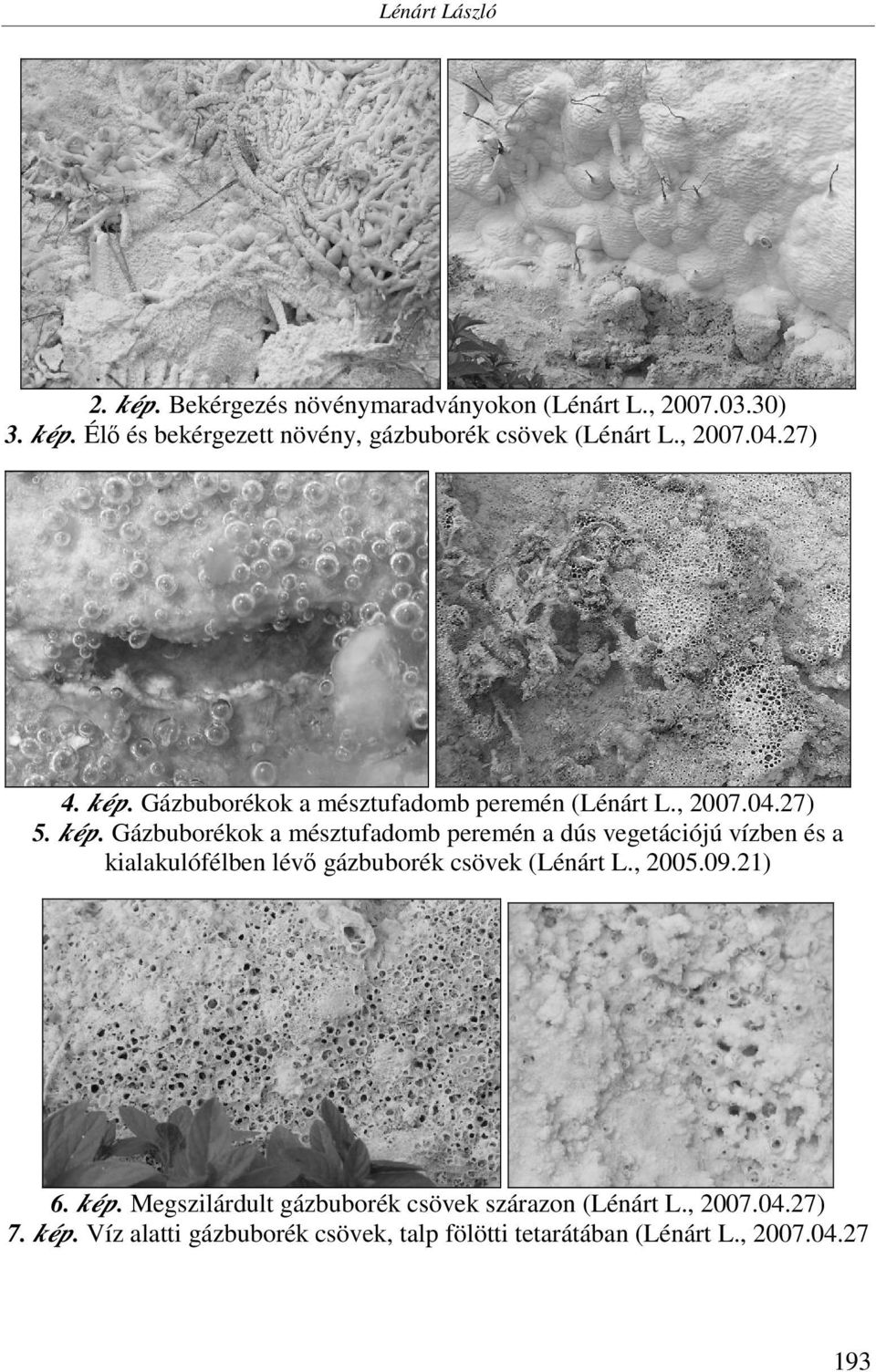 Gázbuborékok a mésztufadomb peremén (Lénárt L., 2007.04.27) 5. kép.