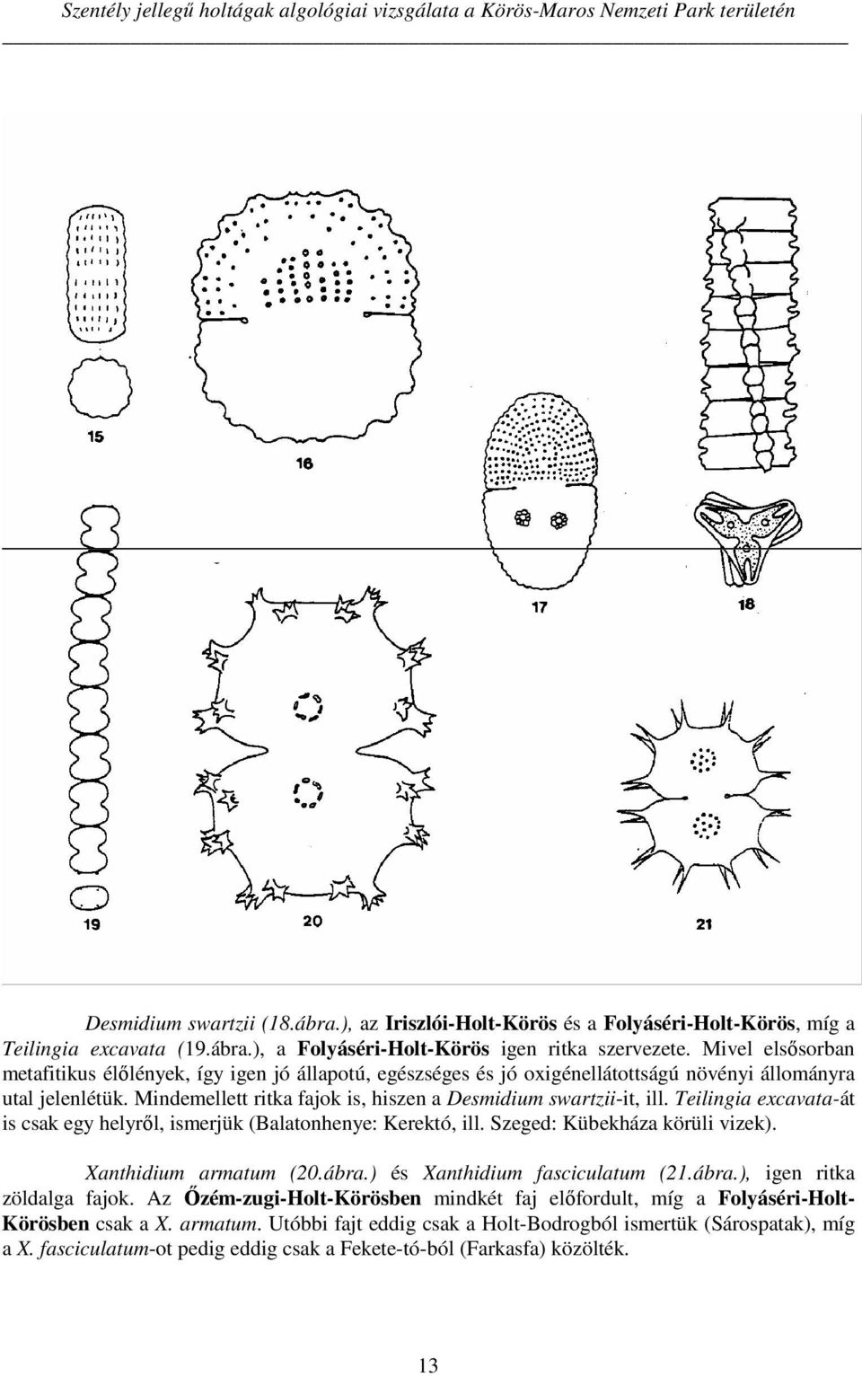 Teilingia excavata-át is csak egy helyről, ismerjük (Balatonhenye: Kerektó, ill. Szeged: Kübekháza körüli vizek). Xanthidium armatum (20.ábra.) és Xanthidium fasciculatum (21.ábra.), igen ritka zöldalga fajok.