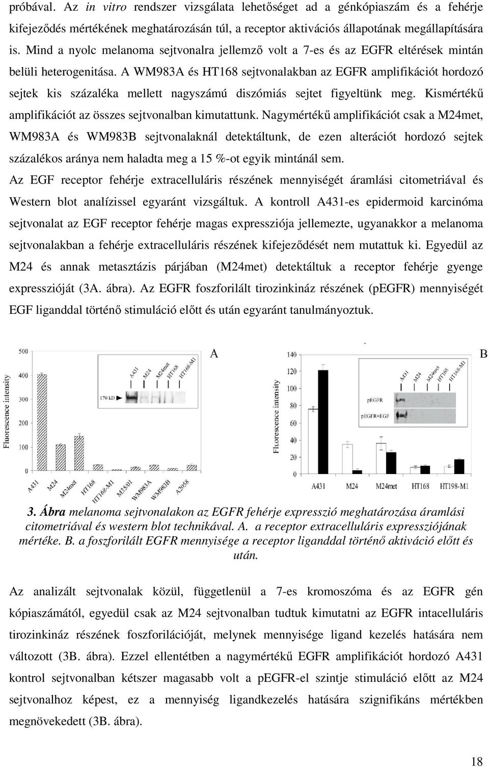 A WM983A és HT168 sejtvonalakban az EGFR amplifikációt hordozó sejtek kis százaléka mellett nagyszámú diszómiás sejtet figyeltünk meg. Kismértékő amplifikációt az összes sejtvonalban kimutattunk.