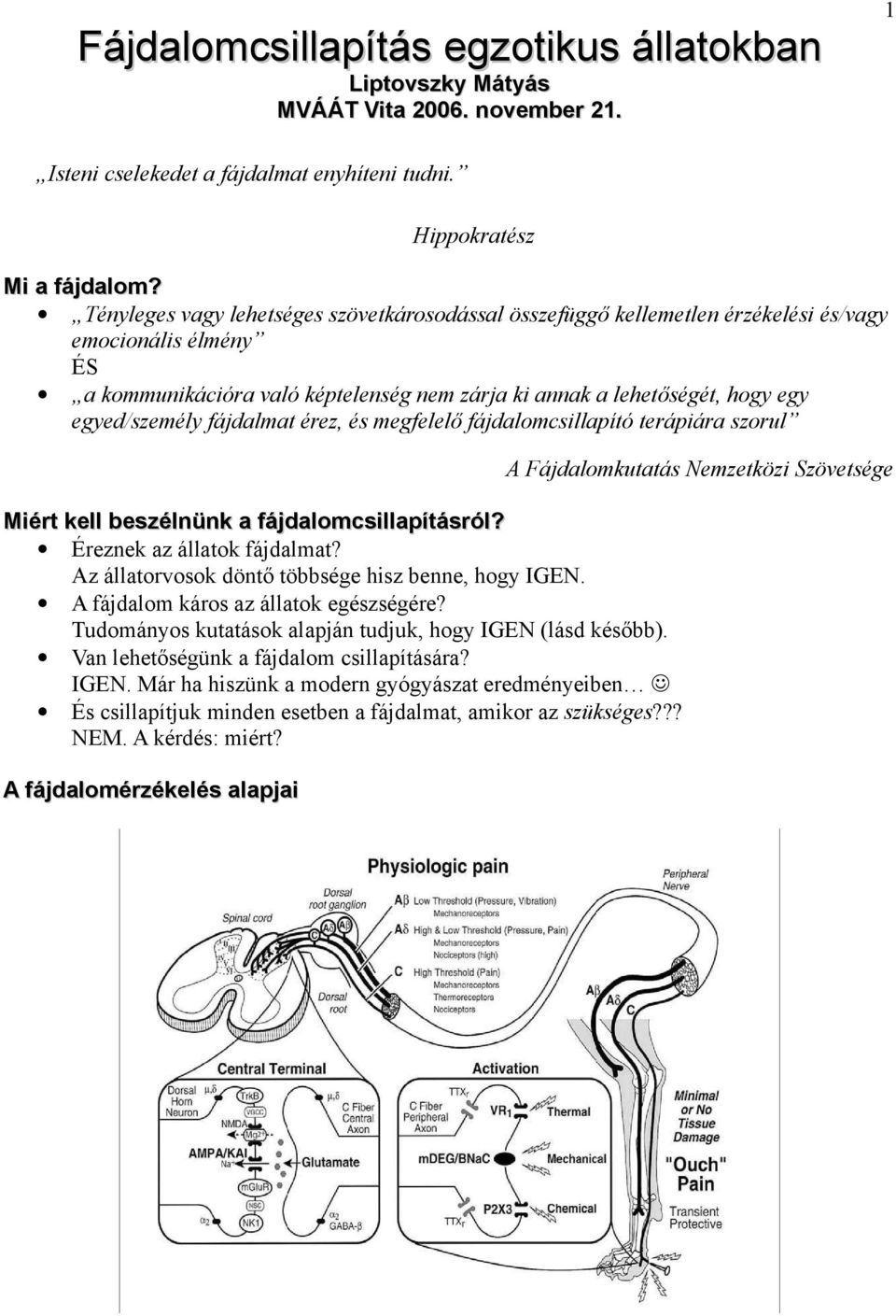 fájdalmat érez, és megfelelő fájdalomcsillapító terápiára szorul Miért kell beszélnünk a fájdalomcsillapításról? Éreznek az állatok fájdalmat? Az állatorvosok döntő többsége hisz benne, hogy IGEN.