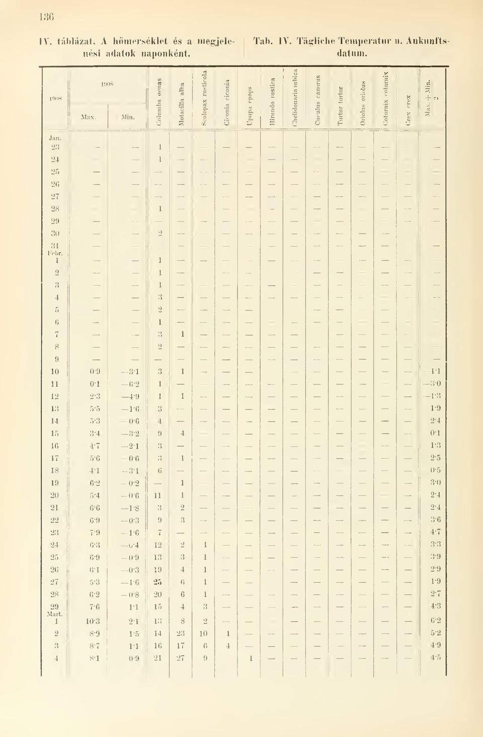 Tal». IV. TäKlichc Temperatur u.