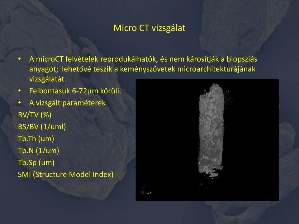 microarchitektúrájának vizsgálatát. Felbontásuk 6-72μm körüli.