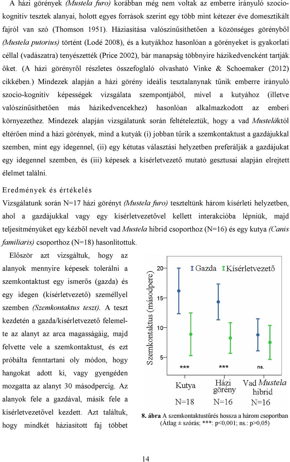 Háziasítása valószínűsíthetően a közönséges görényből (Mustela putorius) történt (Lodé 2008), és a kutyákhoz hasonlóan a görényeket is gyakorlati céllal (vadászatra) tenyészették (Price 2002), bár