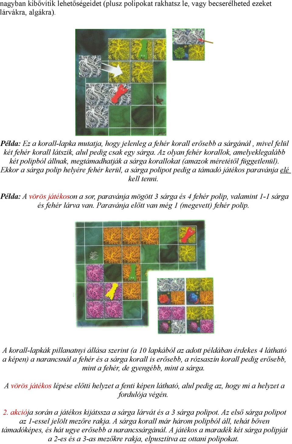 Az olyan fehér korallok, amelyeklegalább két polipból állnak, megtámadhatják a sárga korallokat (amazok méretétől függetlenül).