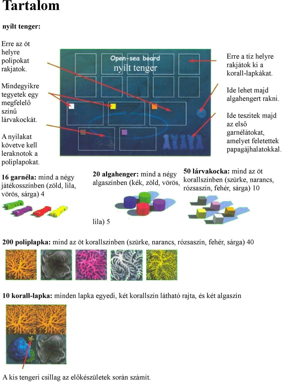 Ide lehet majd algahengert rakni. Ide teszitek majd az első garnélátokat, amelyet feletettek papagájhalatokkal.