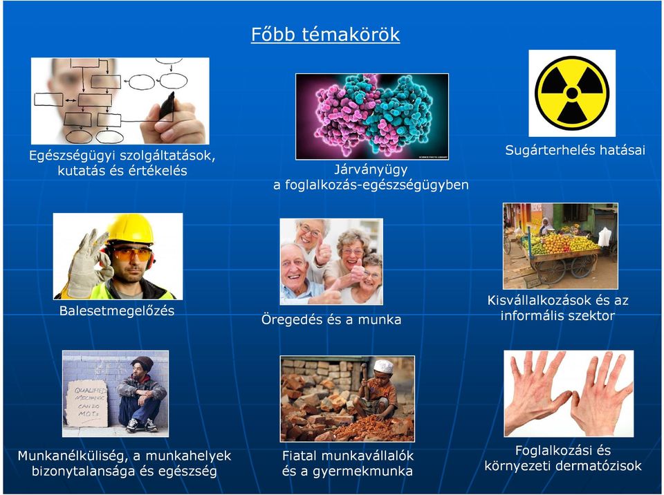 Kisvállalkozások és az informális szektor Munkanélküliség, a munkahelyek