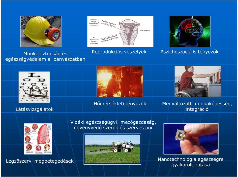 munkaképesség, integráció Vidéki egészségügyi: mezőgazdaság, növényvédő szerek