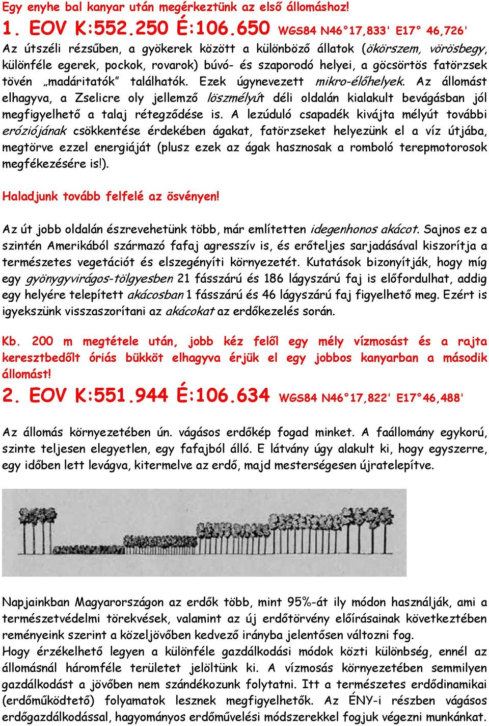 tövén madáritatók találhatók. Ezek úgynevezett mikro-élőhelyek. Az állomást elhagyva, a Zselicre oly jellemző löszmélyút déli oldalán kialakult bevágásban jól megfigyelhető a talaj rétegződése is.