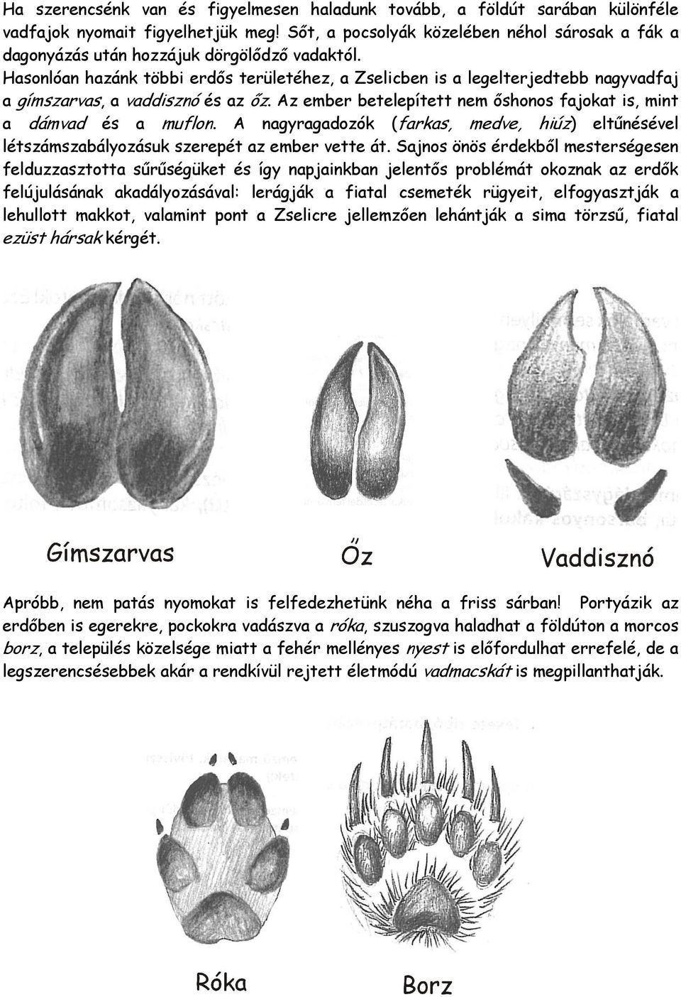 Hasonlóan hazánk többi erdős területéhez, a Zselicben is a legelterjedtebb nagyvadfaj a gímszarvas, a vaddisznó és az őz. Az ember betelepített nem őshonos fajokat is, mint a dámvad és a muflon.