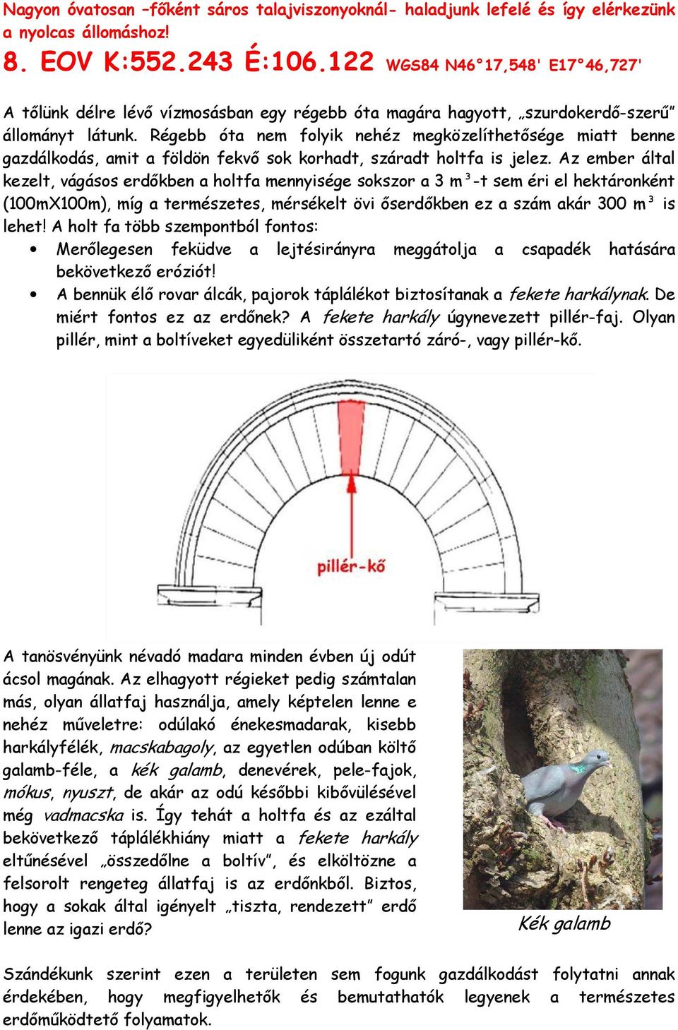 Régebb óta nem folyik nehéz megközelíthetősége miatt benne gazdálkodás, amit a földön fekvő sok korhadt, száradt holtfa is jelez.