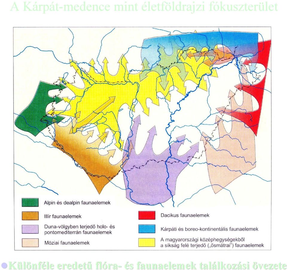 Különféle eredetű flóra ra-