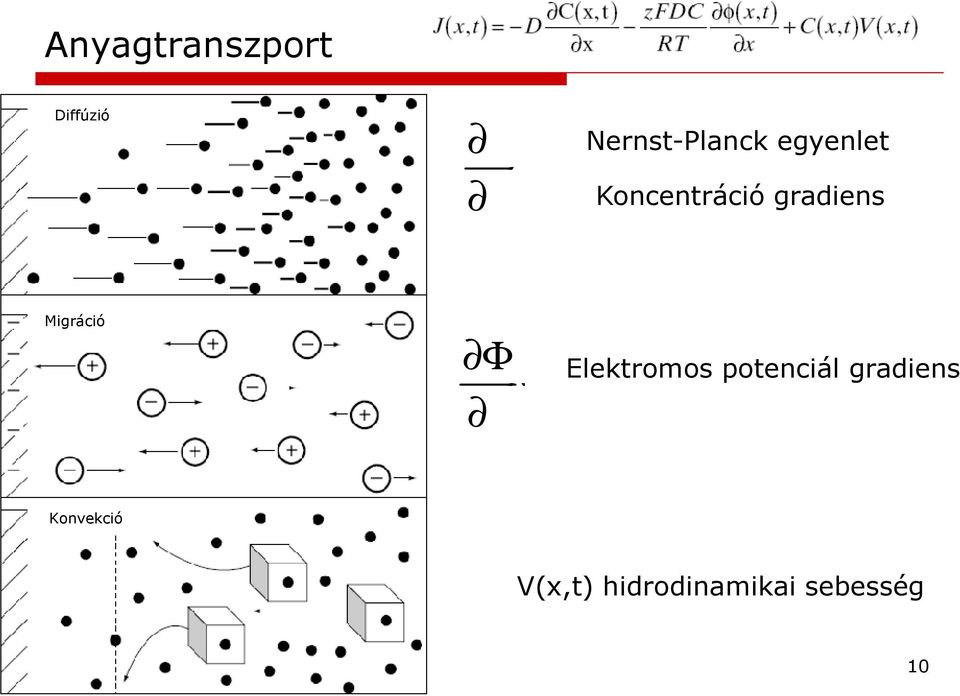 gradiens Migráció Φ x Elektromos