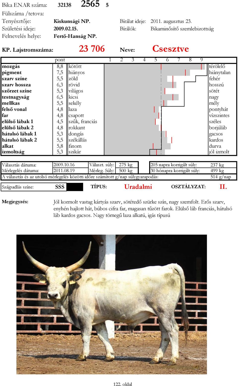 csapott elülső lábak 1 4,5 szűk, franciás elülső lábak 2 4,8 rokkant hátulsó lábak 1 5,3 dongás hátulsó lábak 2 5,5 székállás alkat 5,8 finom izmoltság 5,3 szikár Választás dátuma: 2009.10.16 Választ.