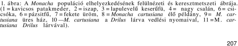 6 = pázsitfű, 7 = fekete üröm, 8 = Monacha cartusiana élő példány, 9= M.