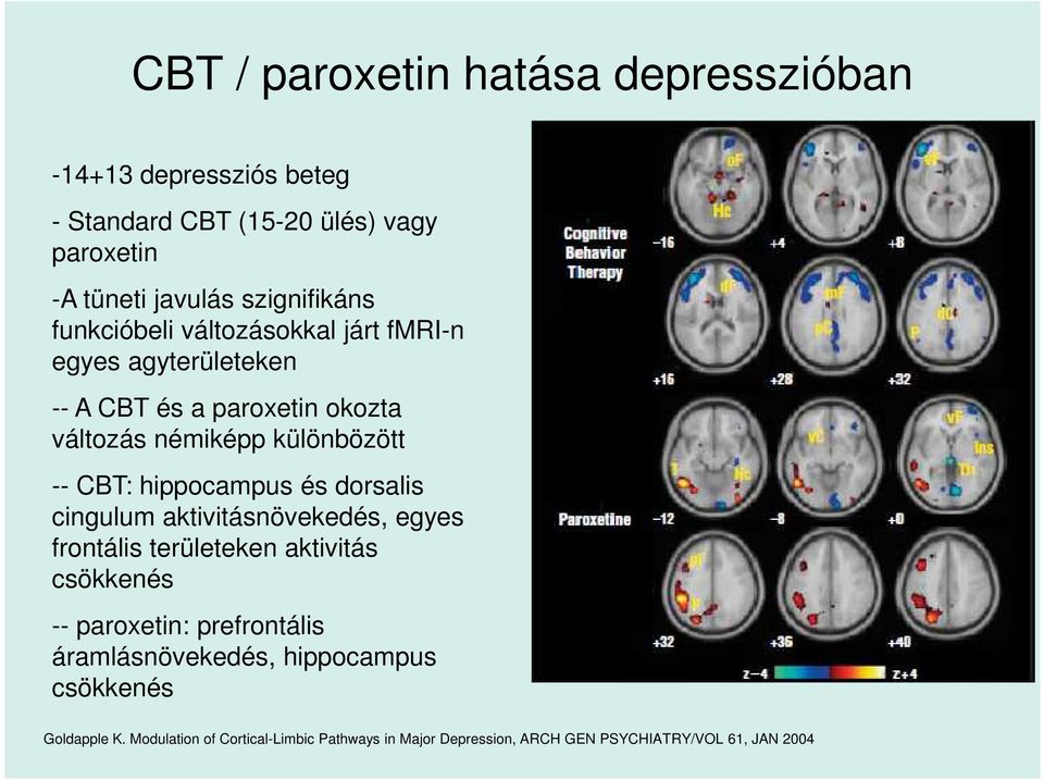 hippocampus és dorsalis cingulum aktivitásnövekedés, egyes frontális területeken aktivitás csökkenés -- paroxetin: prefrontális