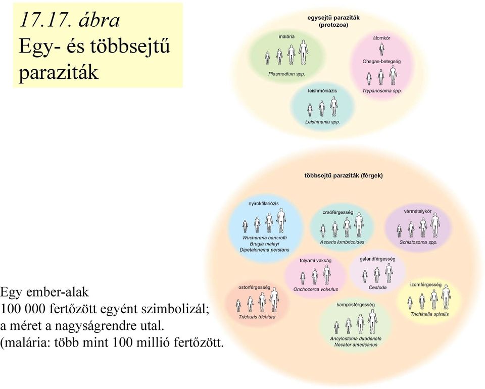 szimbolizál; a méret a nagyságrendre