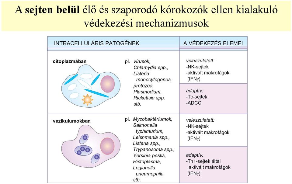 kórokozók ellen