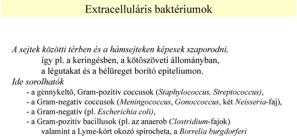 Ide sorolhatók - a gennykeltő, Gram-pozitív coccusok (Staphylococcus, Streptococcus), - a Gram-negatív coccusok (Meningococcus,