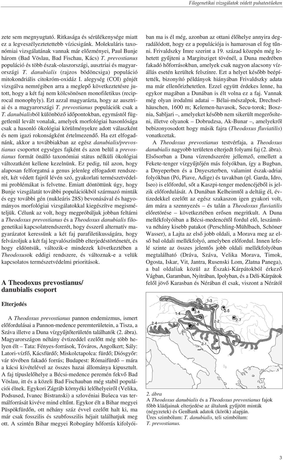 danubialis (rajzos bödöncsiga) populáció mitokondriális citokróm-oxidáz I.