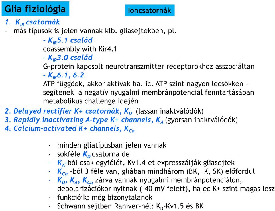 ATP szint nagyon lecsökken segítenek a negatív nyugalmi membránpotenciál fenntartásában metabolikus challenge idején 2. Delayed rectifier K+ csatornák, K D (lassan inaktválódók) 3.