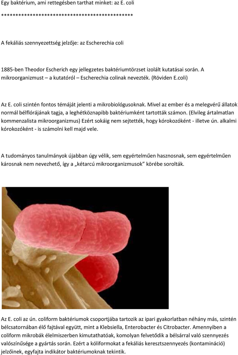 A mikroorganizmust a kutatóról Escherechia colinak nevezték. (Röviden E.coli) Az E. coli szintén fontos témáját jelenti a mikrobiológusoknak.