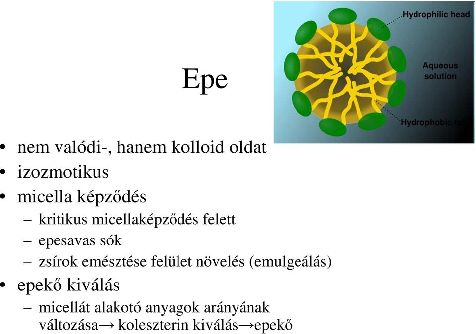 emésztése felület növelés (emulgeálás) epekő kiválás