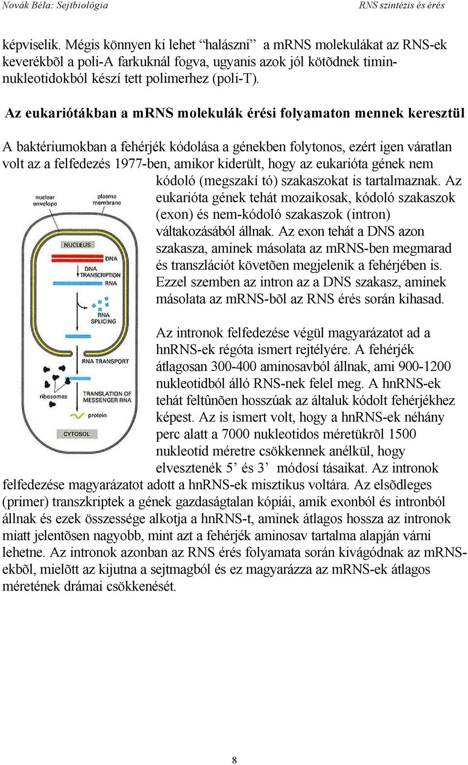 az eukarióta gének nem kódoló (megszakító) szakaszokat is tartalmaznak. Az eukarióta gének tehát mozaikosak, kódoló szakaszok (exon) és nem-kódoló szakaszok (intron) váltakozásából állnak.